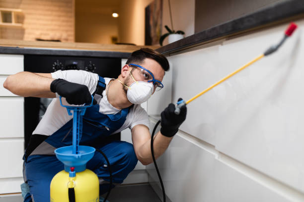 Best Bed Bug Extermination  in Kealakekua, HI