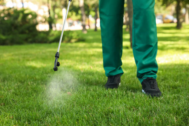 Best Flea Control Services  in Kealakekua, HI
